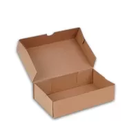 Kilitli Karton Kutu 30x20x10 cm.