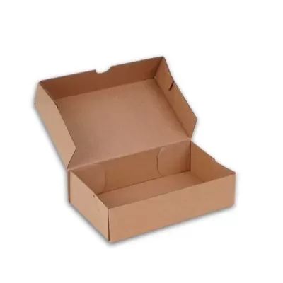 Kilitli Karton Kutu 30x20x10 cm.-KoliCadde
